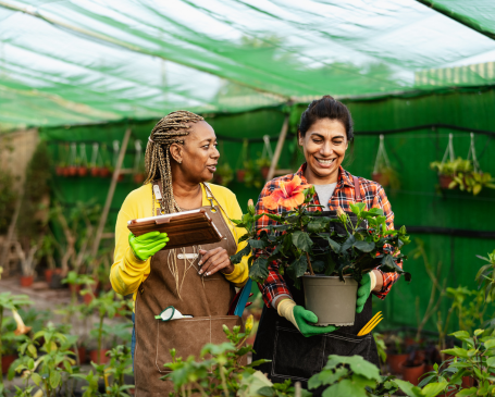 Costa Farms - Detail